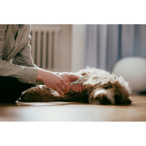 FISKARS Classic hajvágó olló (17 cm)