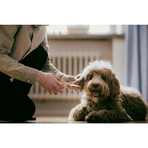 FISKARS Classic hajvágó olló (17 cm)