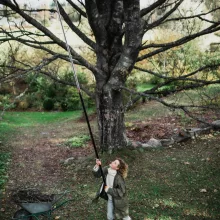 FISKARS PowerGearX teleszkópos ágvágó UPX86