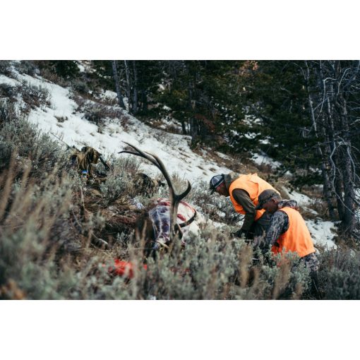 GERBER Randy Newberg EBS tőr, 3 pengével