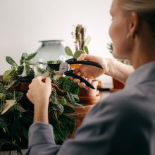 FISKARS Solid mellévágó metszőolló P121