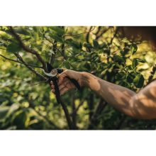 FISKARS Solid mellévágó metszőolló P321