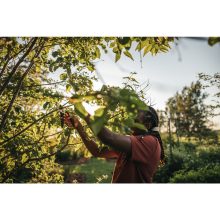 FISKARS Solid mellévágó metszőolló P321