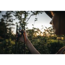 FISKARS Plus mellévágó metszőolló P721