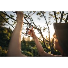 FISKARS Plus mellévágó metszőolló P751