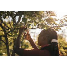 FISKARS Plus mellévágó metszőolló P751