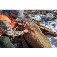 GERBER Downwind Ulu nyúzó