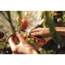 FISKARS X-Series összecsukható betakarító kés K80