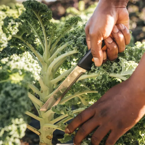 FISKARS X-Series betakarító kés K82