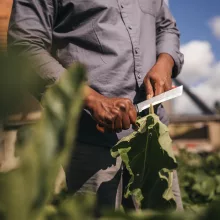 FISKARS X-Series betakarító kés K82