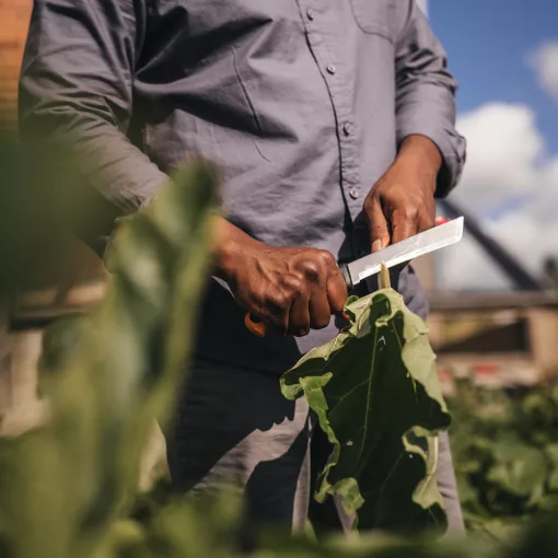 FISKARS X-Series betakarító kés K82