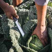 FISKARS X-Series betakarító kés K82