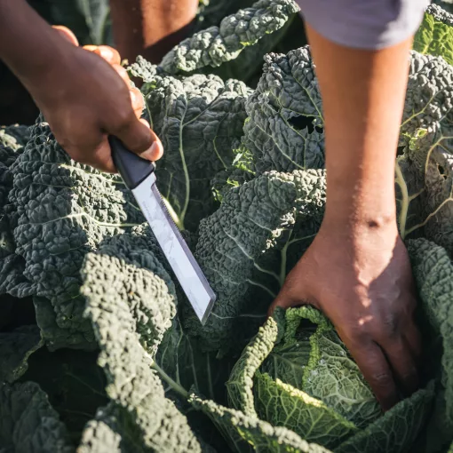 FISKARS X-Series betakarító kés K82