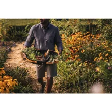 FISKARS Plus kerti szüretelő kosár