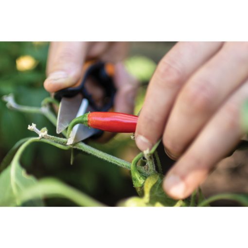 FISKARS Solid fűszernövényvágó olló SP220