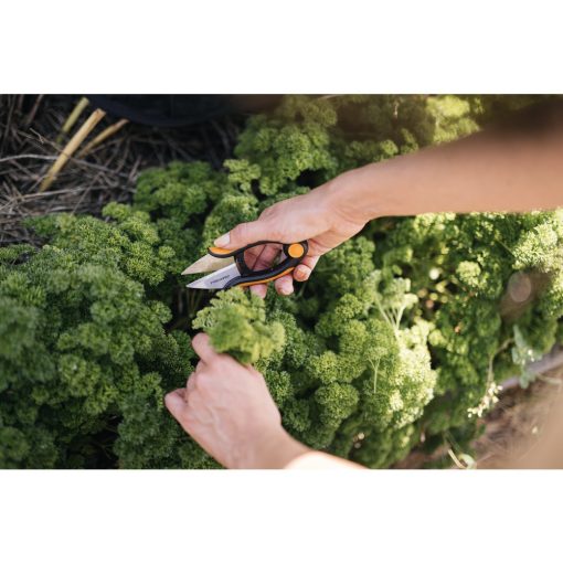 FISKARS Solid fűszernövényvágó olló SP220