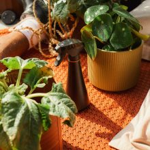 FISKARS Urban Gardening vízpermetező (0,3 L)