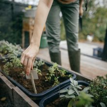 FISKARS Solid ültetőkapa