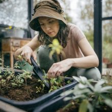 FISKARS Solid keskeny ültetőkanál