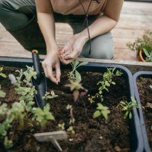 FISKARS Solid keskeny ültetőkanál