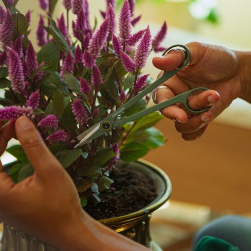 FISKARS Urban Gardening virágolló tárolóval