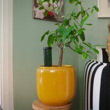 FISKARS Urban Gardening öntözővíz adagoló (3,5 dl)