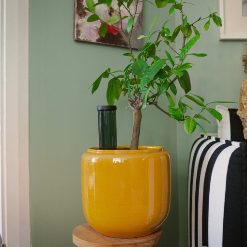 FISKARS Urban Gardening öntözővíz adagoló (3,5 dl)