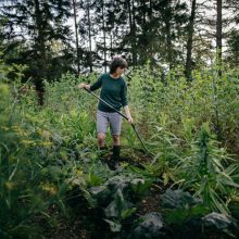 FISKARS Ergonomic talajlazító, ívelt nyéllel