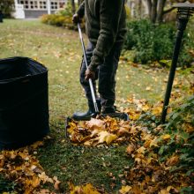 FISKARS lombszedő villa, műanyag fejjel