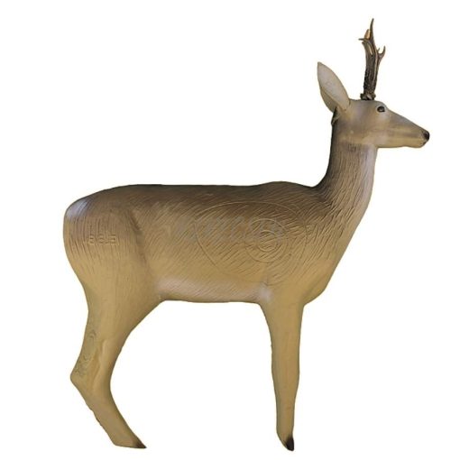 E14 - 3D - Roe Deer