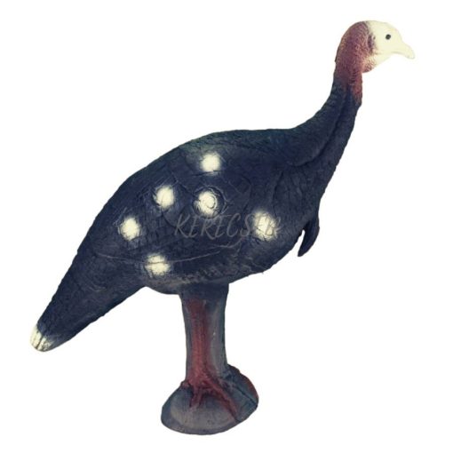 ELEVEN - E26 - 3D - Turkey