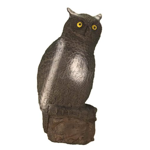 ELEVEN - E7 - 3D - Owl
