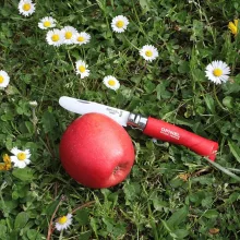 OPINEL Tradition Classique My First Opinel No.07 (S) zsebkés, piros