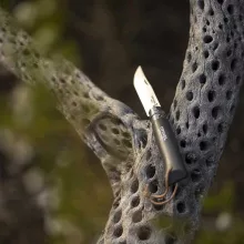 OPINEL Tradition Colorama No.08 (S) zsebkés, khaki