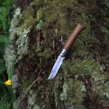 OPINEL Tradition Luxe No.08 (S) zsebkés, dió