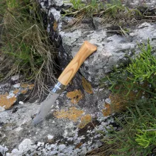 OPINEL Tradition Luxe No.09 (S) zsebkés, oliva