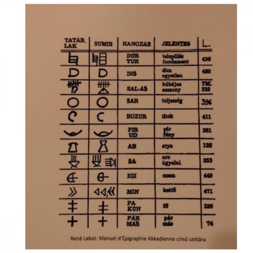 Várkonyi Hajnal - Naparcúak