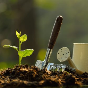 Ültető Szerszámok