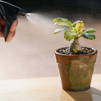 Urban Gardening eszközök