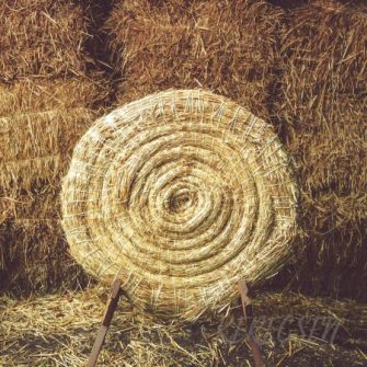 Szalma vesszőfogók