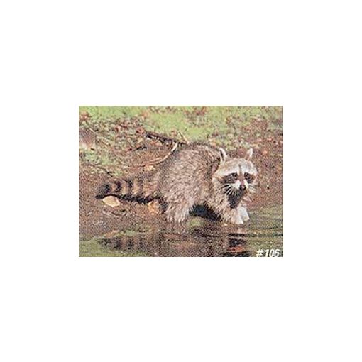 TrueLife - Mosómedve lőlap