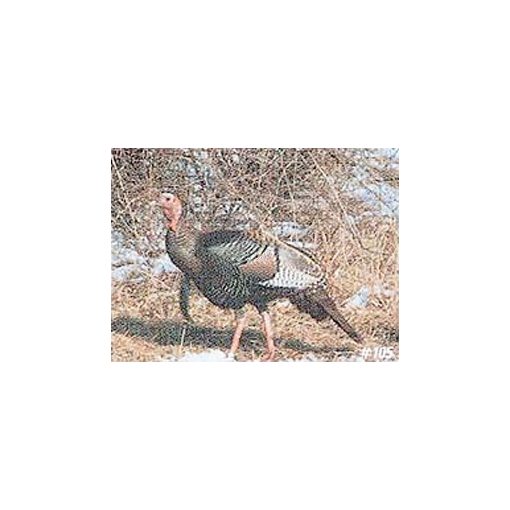 TrueLife - Pulyka lőlap